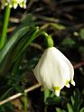 2014-03-09,_Polenztal (10)